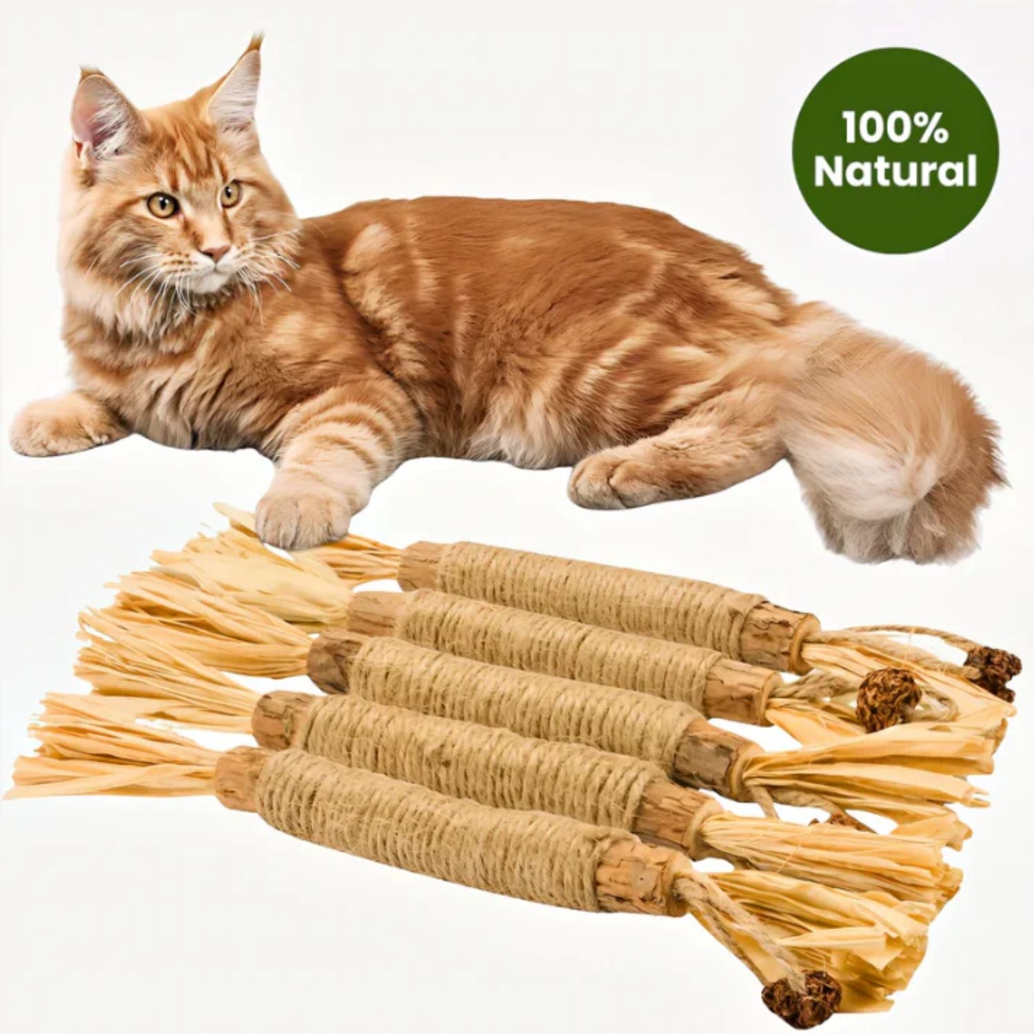 Guardian Natural Silvervine Dental Sticks