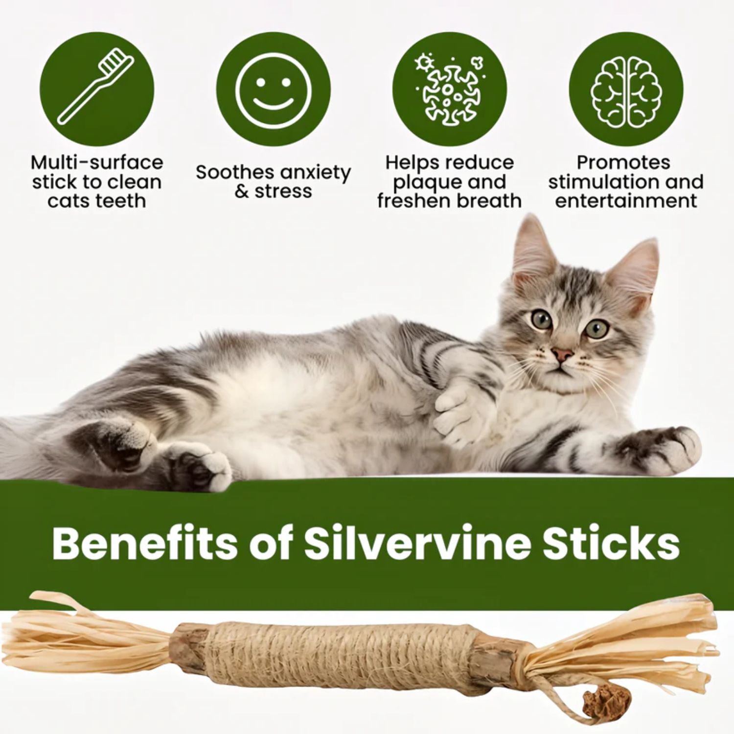 Guardian Natural Silvervine Dental Sticks