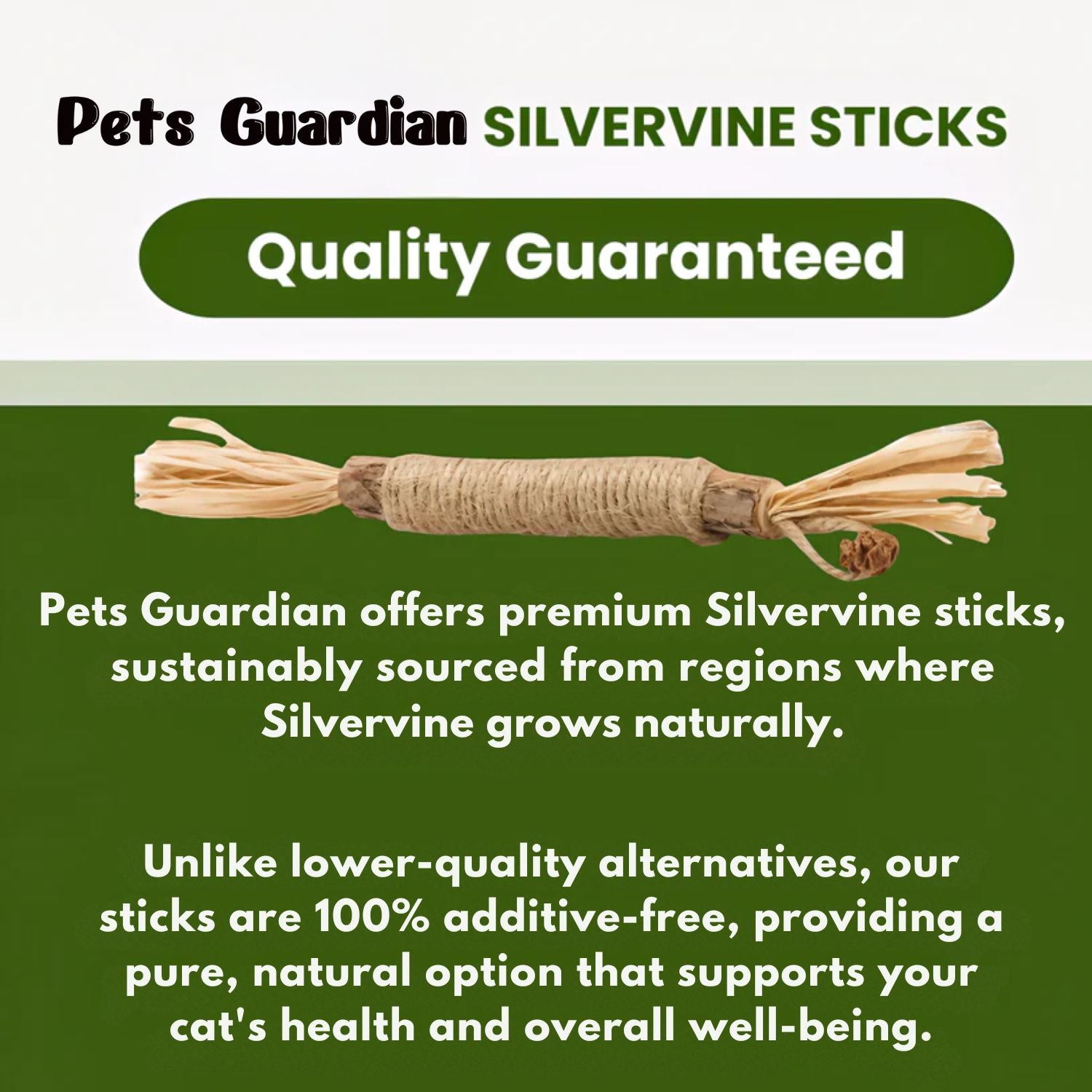 Guardian Natural Silvervine Dental Sticks